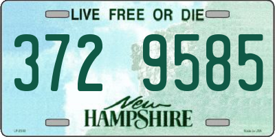 NH license plate 3729585