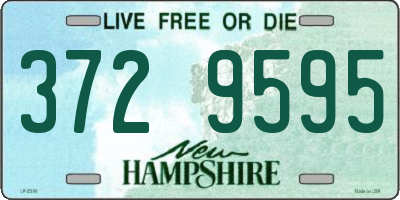 NH license plate 3729595