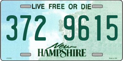 NH license plate 3729615