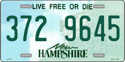 NH license plate 3729645