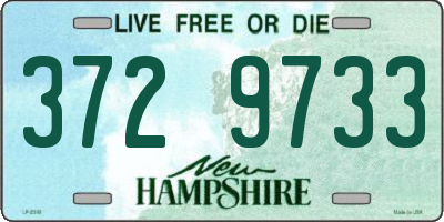 NH license plate 3729733