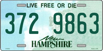 NH license plate 3729863