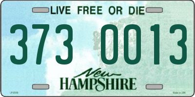NH license plate 3730013