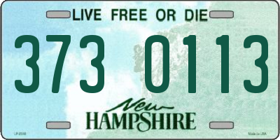 NH license plate 3730113