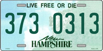 NH license plate 3730313