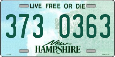NH license plate 3730363