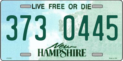NH license plate 3730445