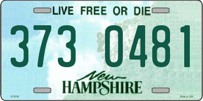 NH license plate 3730481