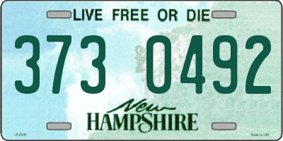 NH license plate 3730492