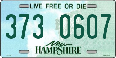 NH license plate 3730607