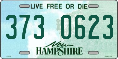 NH license plate 3730623