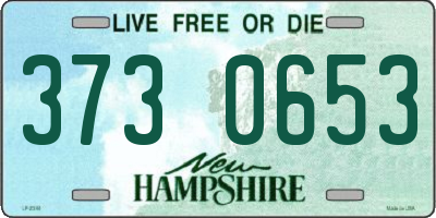 NH license plate 3730653