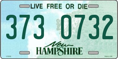 NH license plate 3730732