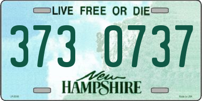 NH license plate 3730737