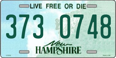 NH license plate 3730748