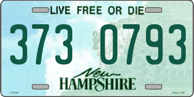NH license plate 3730793