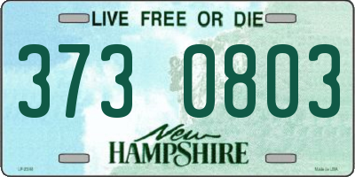 NH license plate 3730803