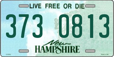 NH license plate 3730813