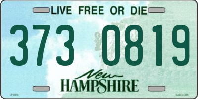 NH license plate 3730819