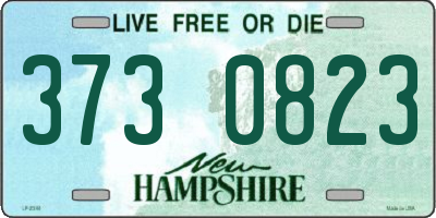 NH license plate 3730823