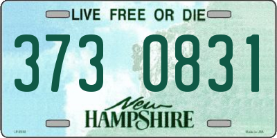 NH license plate 3730831