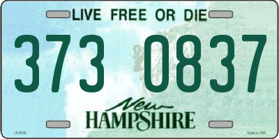 NH license plate 3730837