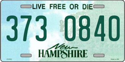 NH license plate 3730840
