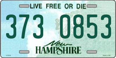 NH license plate 3730853