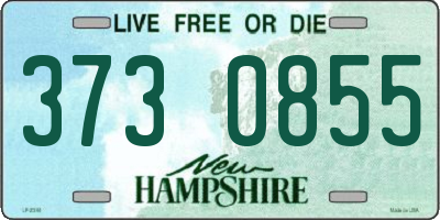 NH license plate 3730855