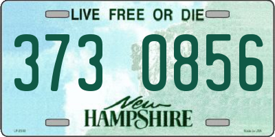NH license plate 3730856