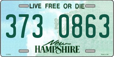 NH license plate 3730863