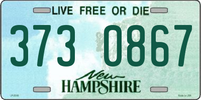 NH license plate 3730867