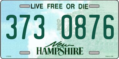 NH license plate 3730876