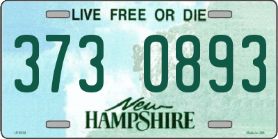 NH license plate 3730893