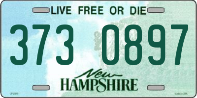 NH license plate 3730897