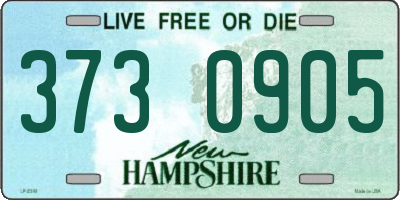 NH license plate 3730905
