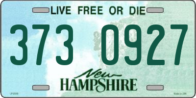 NH license plate 3730927