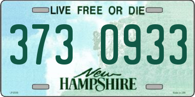 NH license plate 3730933