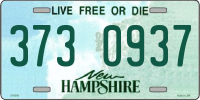NH license plate 3730937