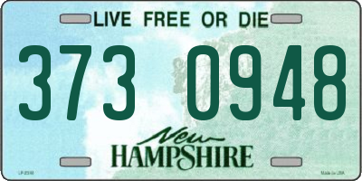 NH license plate 3730948