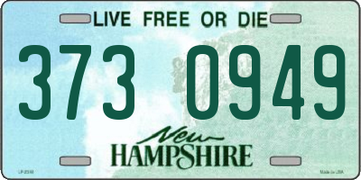 NH license plate 3730949