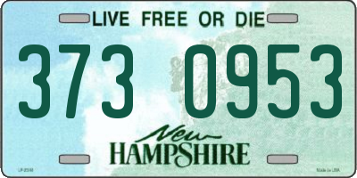 NH license plate 3730953