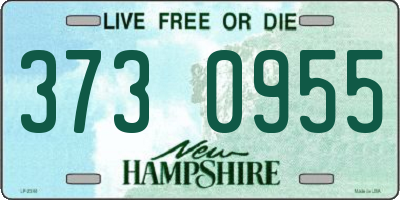 NH license plate 3730955