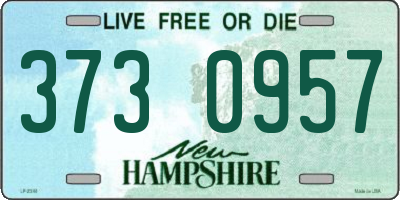 NH license plate 3730957