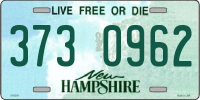 NH license plate 3730962