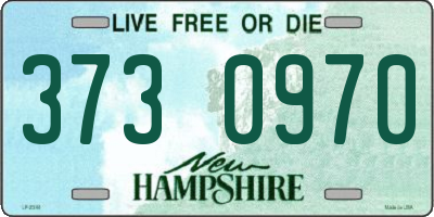 NH license plate 3730970