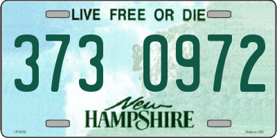 NH license plate 3730972