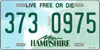 NH license plate 3730975