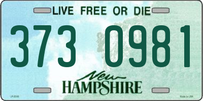 NH license plate 3730981