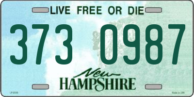NH license plate 3730987